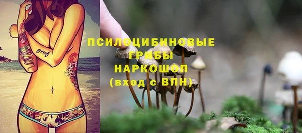 хмурый Абаза
