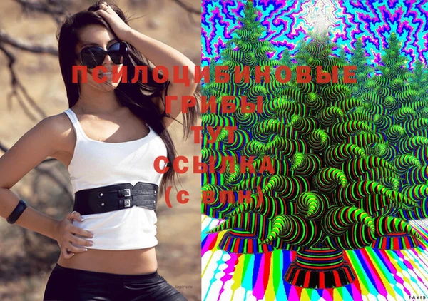 хмурый Абаза
