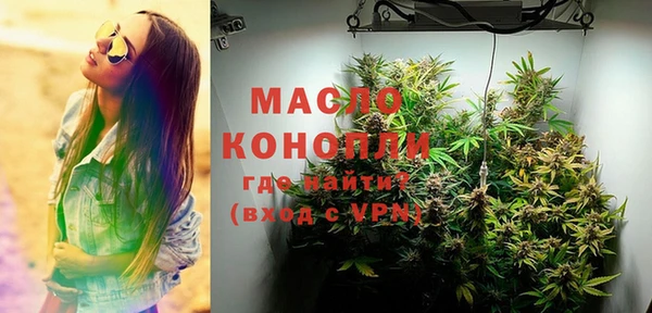 хмурый Абаза