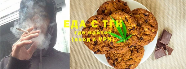 хмурый Абаза