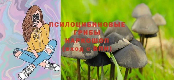 крисы Абинск